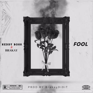 FOOL (feat. Brakay)