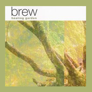 おもいでぽろぽろ (岁月的童话)