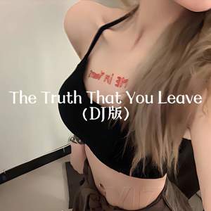 The Truth That You Leave (DJ版)