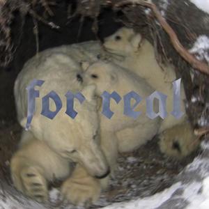 for real (Explicit)