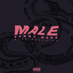 Male (Explicit)