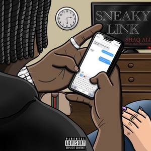 Sneaky Link (Explicit)