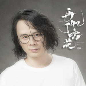 再忆丁香花