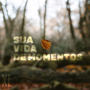 Sua Vida De Momentos (Explicit)