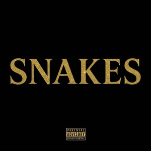 SNAKES (Explicit)