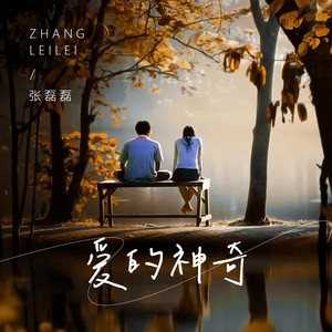 爱的神奇 (伴奏)