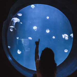 Multicolored (Explicit)