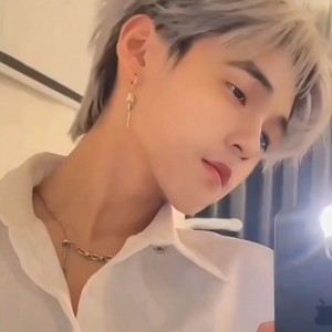 青花瓷 (DJ迷人磊、 remix)