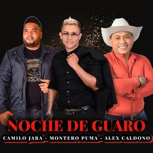 Noche De Guaro