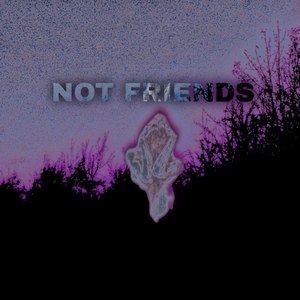 Not Friends (Explicit)