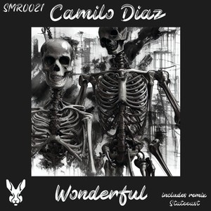 Wonderful (Stateeast Remix)