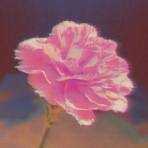 high&numb (Explicit)
