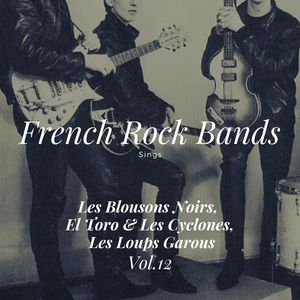 French Rock Bands Sings, Vol. 10