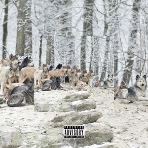 Soundtrack for Wolves (Explicit)