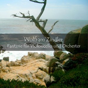 Fantasie für Violoncello und Orchester