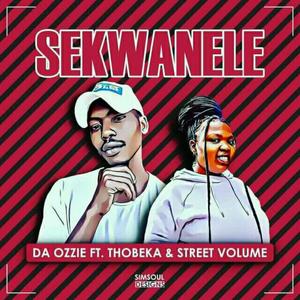 Sekwanele(feat. Thobeka & Street Volume)(Original)