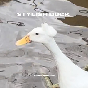 The Stylish Duck