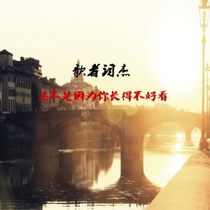 还不是因为你长得不好看 (伴奏)