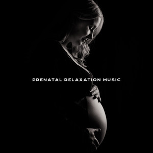 Prenatal Relaxation Music for Pregnancy for the Unborn Baby and Future Parents