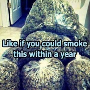 colorado (feat. Leesta & Dreamland) (Explicit)