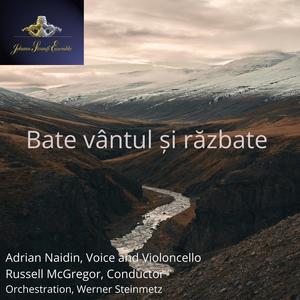 Bate Vantul si Razbate(feat. Adrian Nadine)