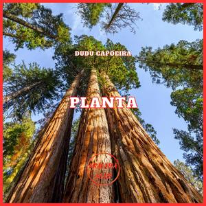 Planta