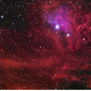 Kosmiczne ryby (Explicit)