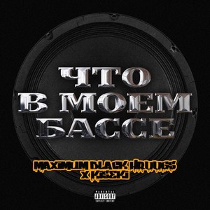 Что в моем бассе (feat. Kiseki) [Explicit]