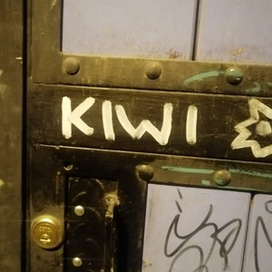 Kiwi