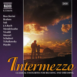 Keyboard Concerto in F Minor, BWV 1056 - Largo