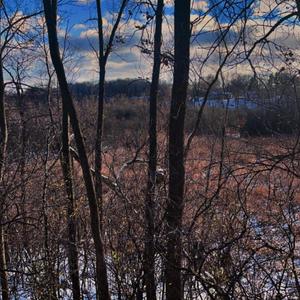 Right Now (Explicit)