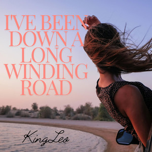 I've Been Down a Long Winding Road