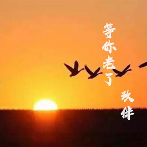 玖伴 - 等你老了