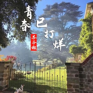 青春已打烊