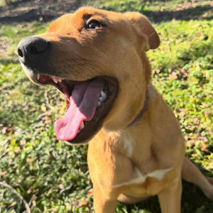 princess (feat. Day10) (Explicit)