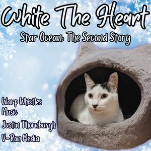 White The Heart (From "Star Ocean: The Second Story") (Cover Version)