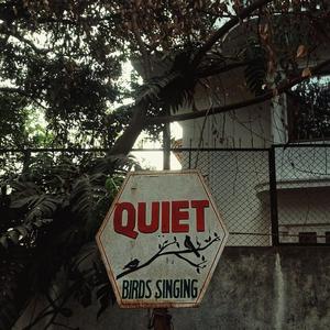 brainless (Explicit)