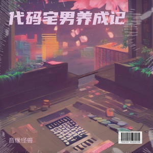 代码宅男养成记