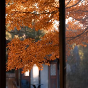 陪着我的时候想着她