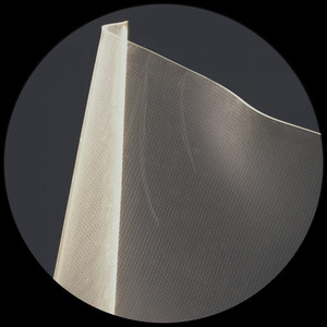 Cellular Consciousness (Alexander Kowalski Remix)