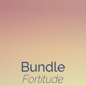 Bundle Fortitude