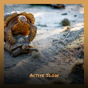 Active Slow