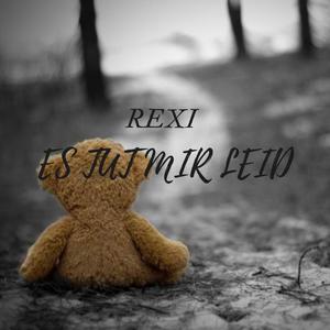 Es tut mir Leid (Explicit)
