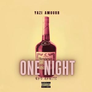 One Night (Explicit)