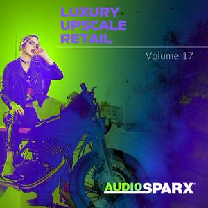 Luxury Upscale Retail Volume 17