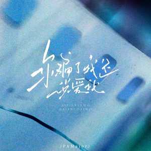 你骗了我还说爱我