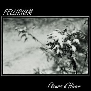 Fleurs d'Hiver