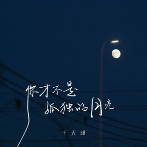 你才不是孤独的月亮