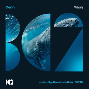 Whale (SHYRO Remix)