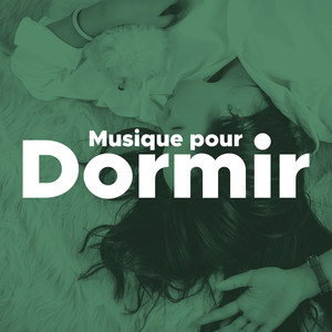 Musique pour Dormir - Musique Zen Japonaise